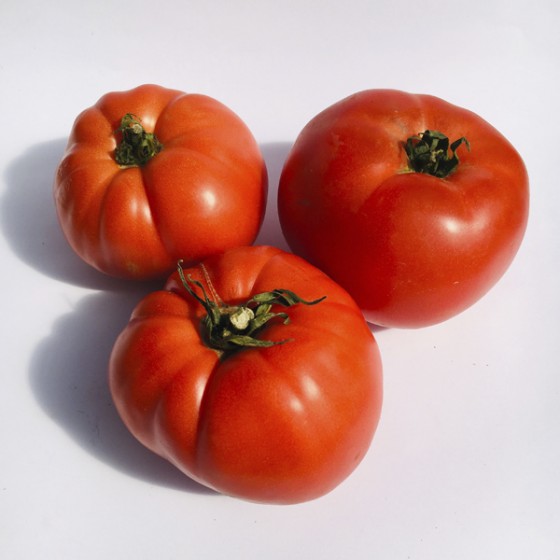 Tomate del país