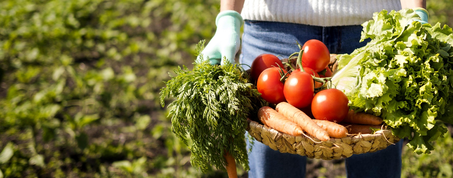 Alimentos frescos